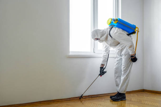 Best Pest Removal Services  in Oliver Springs, TN