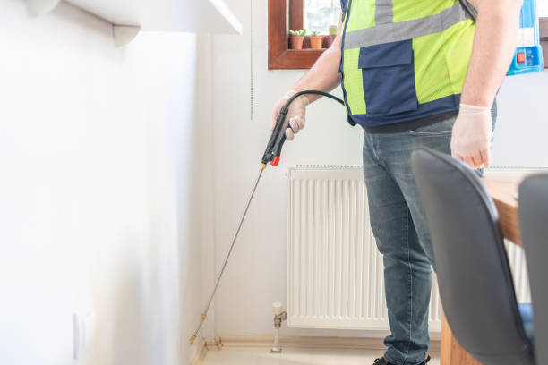 Best Flea Control Services  in Oliver Springs, TN