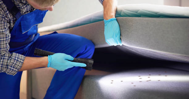 Best Best Pest Control Near Me  in Oliver Springs, TN