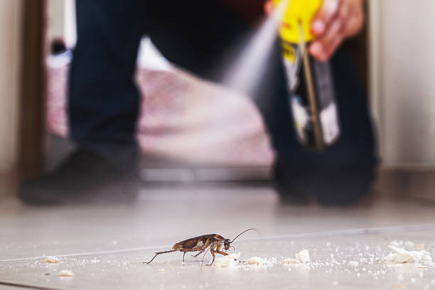 Best Affordable Pest Control Services  in Oliver Springs, TN