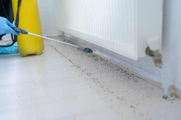 Best Commercial Pest Control Services  in Oliver Springs, TN